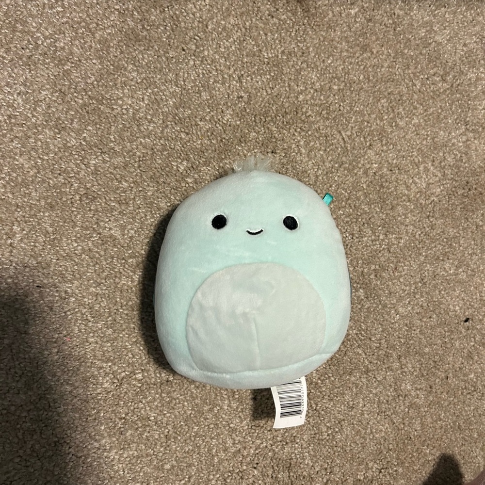 Onica the Turtle Squishmallow